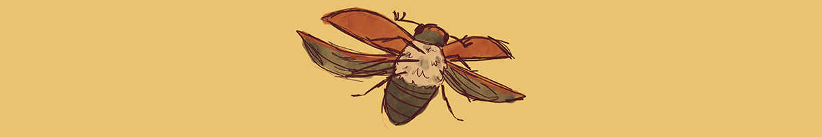 An illustrations of a junebug flying against a yellowish background