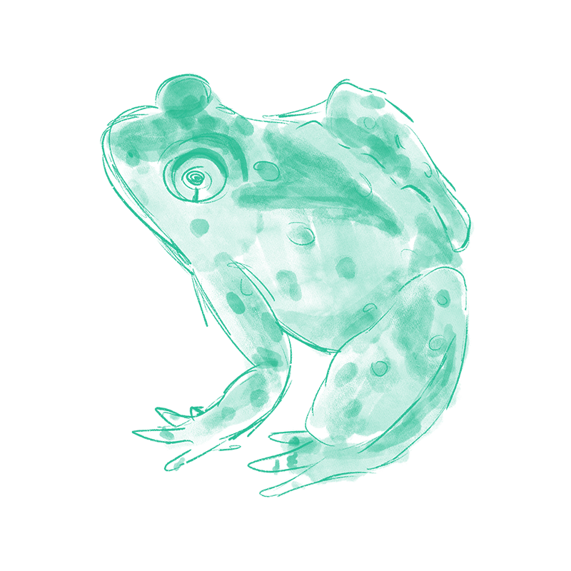 frog